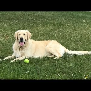 Meet your Posher, Anthony